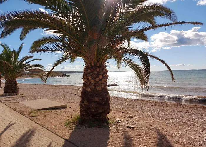 Orlic פובליאנה