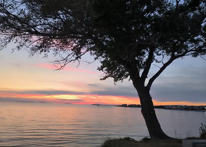 Orlic דירה פובליאנה