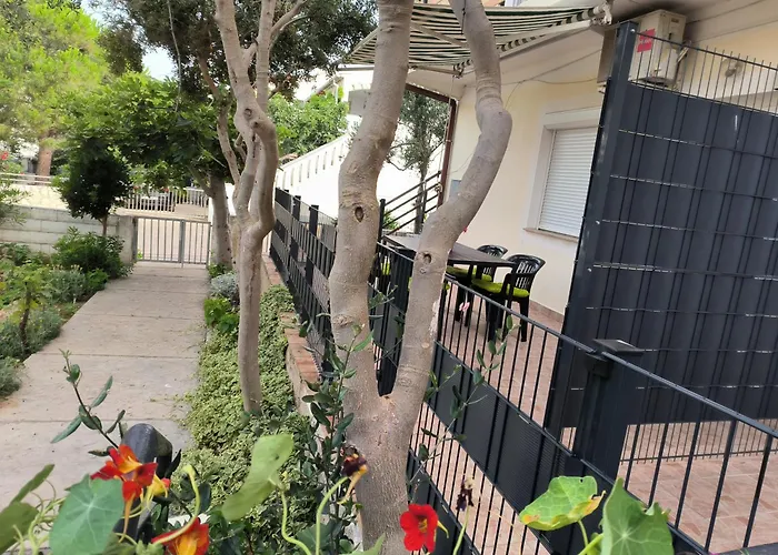 Orlic פובליאנה