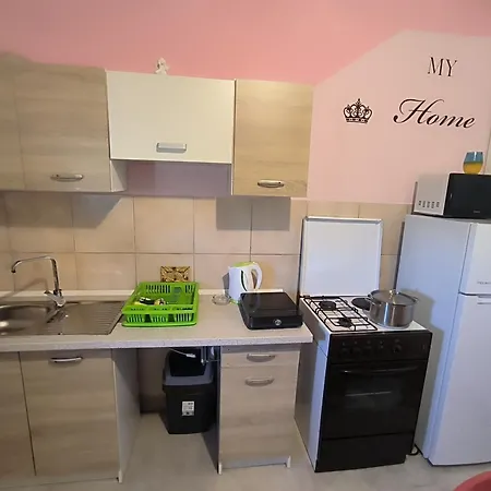 Apartment Orlic *